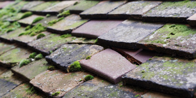 Rocester roof repair costs